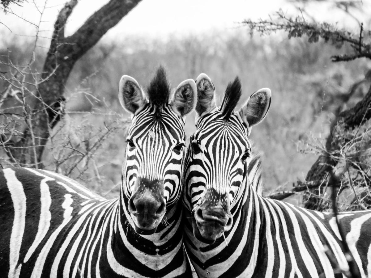 African Spirit Game Lodge Mkuze Bagian luar foto