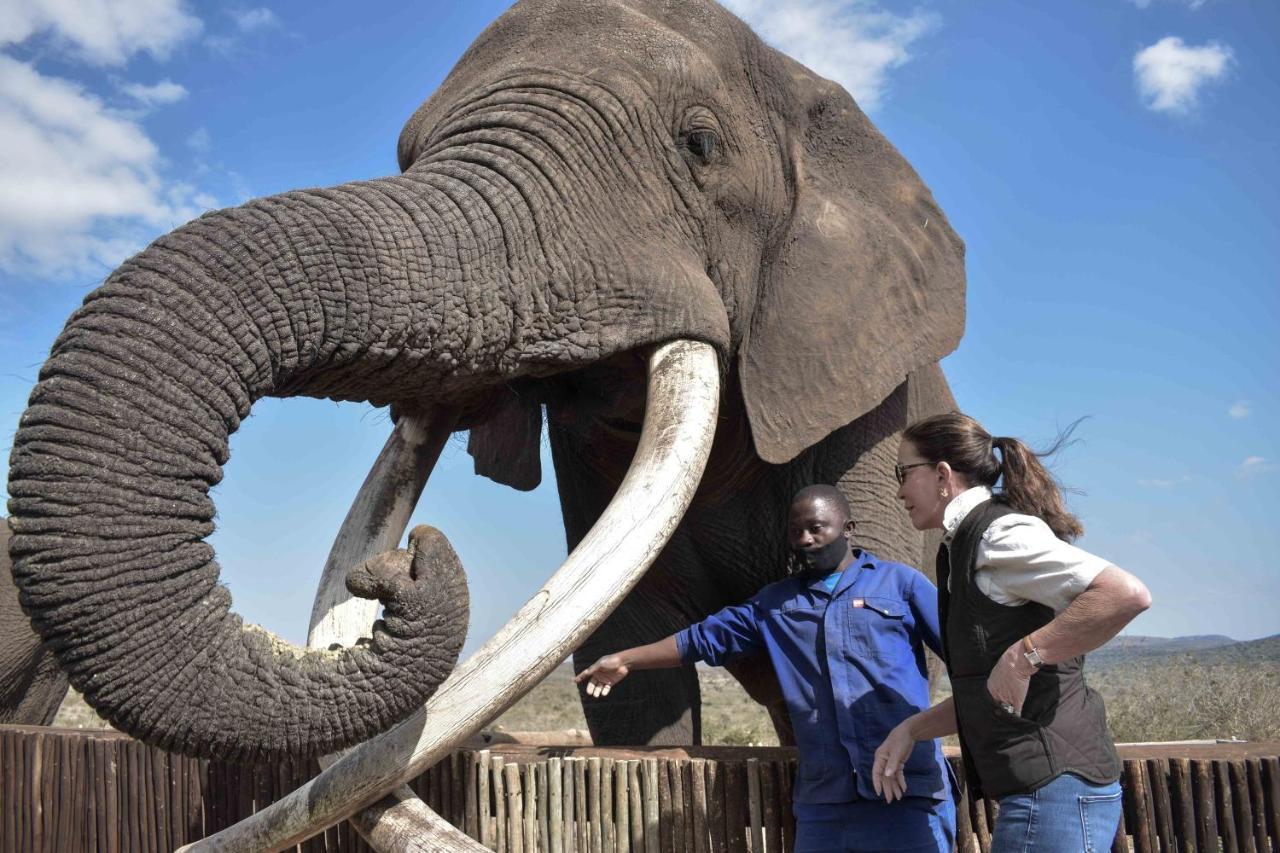 African Spirit Game Lodge Mkuze Bagian luar foto