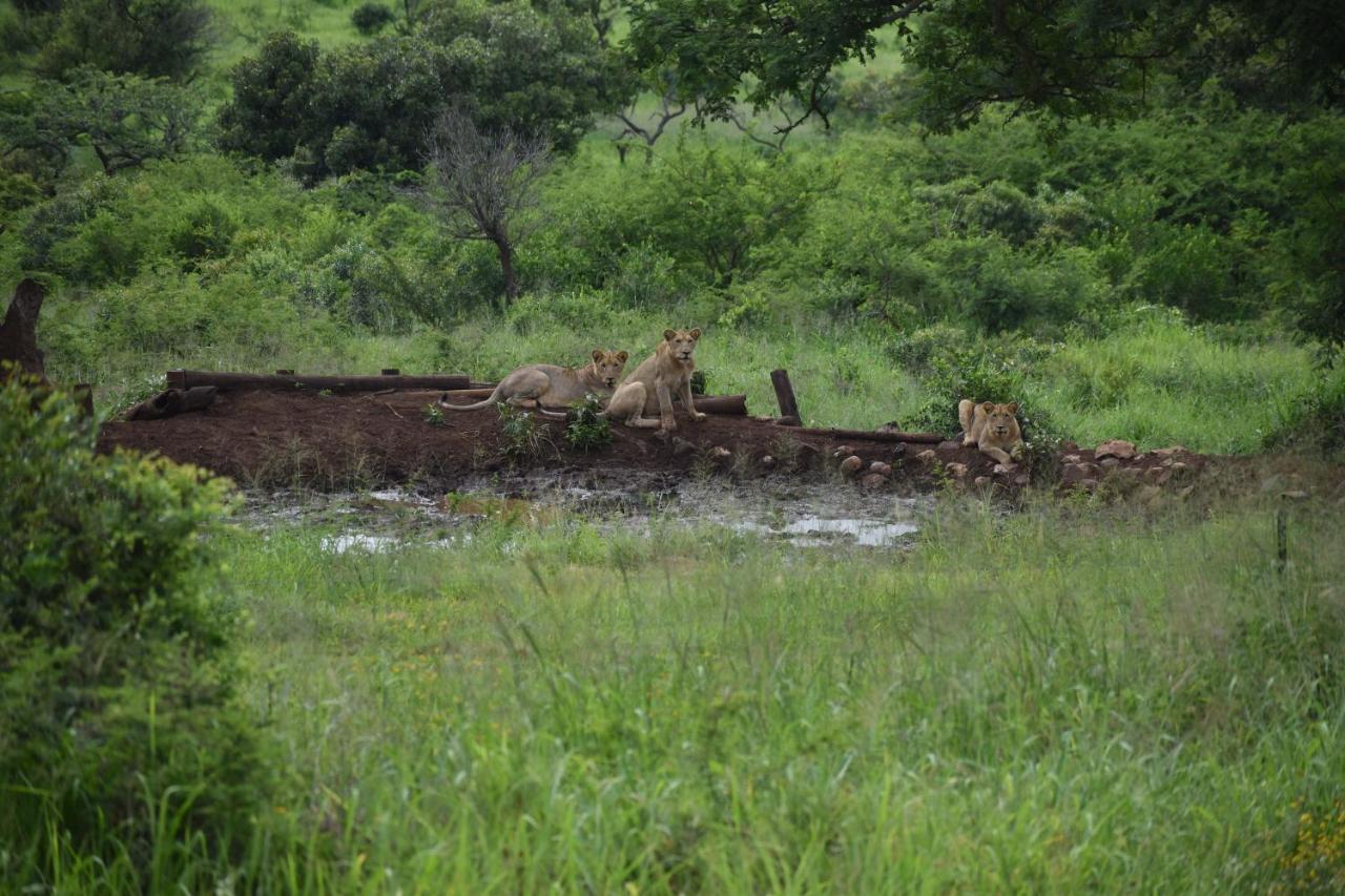 African Spirit Game Lodge Mkuze Bagian luar foto